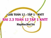 Bài 2.3 SGK Toán 12 tập 1 Kết nối tri thức